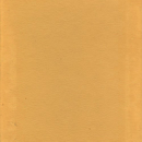 Bicolor_beig2